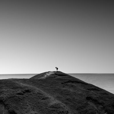 capra / Landscapes  photography by Photographer Dennis Ramos ★30 | STRKNG