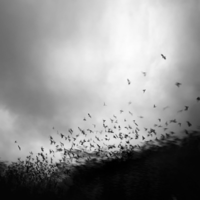 without you my whole world comes apart at the seams / Schwarz-weiss  Fotografie von Fotograf Andy Lee ★19 | STRKNG