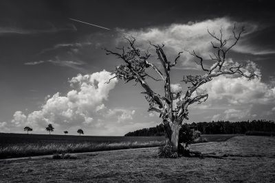Landscapes  photography by Photographer Thomas Gauck ★7 | STRKNG