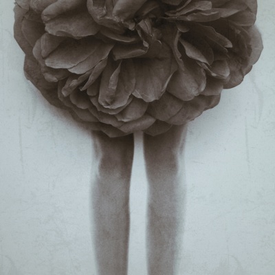 A Rose / Creative edit  photography by Photographer goal74 ★1 | STRKNG