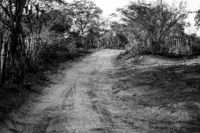 Road to nowhere / Black and White  photography by Photographer O fotografo casual | STRKNG