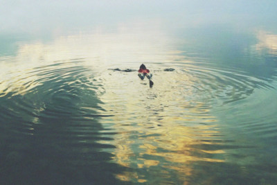 Take Me Somewhere I Can Breathe / Wasserlandschaften  Fotografie von Fotografin Mångata ★2 | STRKNG