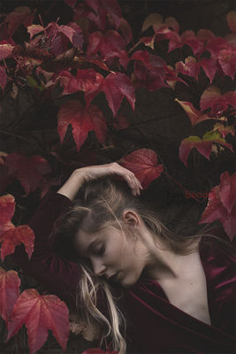 Red Feel / Fine Art  photography by Photographer Bart Boodts Photography ★3 | STRKNG