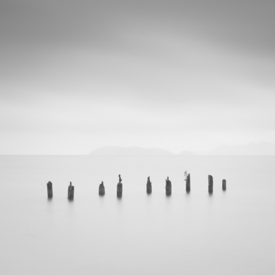 Life on Remnants / Black and White  photography by Photographer Thomas Leong ★1 | STRKNG