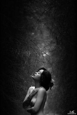 The Wood / Nude  photography by Photographer Ivo Fotografie ★9 | STRKNG