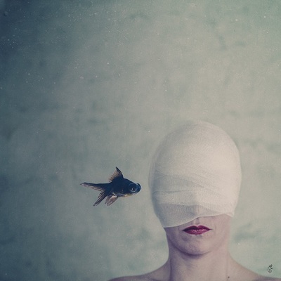 the whisperers... / Fine Art  Fotografie von Fotografin Andrea Schwelle ★13 | STRKNG