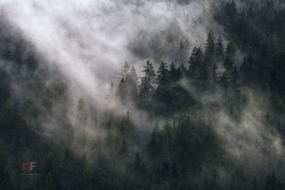 Frankenwald Noir / Landscapes  Fotografie von Fotograf Stephan Amm ★5 | STRKNG