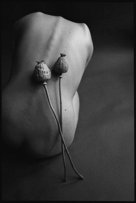 Body Shapes with Poppy / Fine Art  photography by Photographer Anna Försterling ★139 | STRKNG