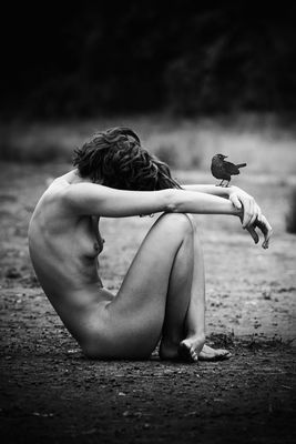 where the birds fly / Nude  Fotografie von Fotografin Schiwa Rose ★28 | STRKNG