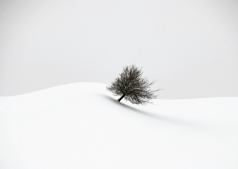 white winter - &copy; Renate Wasinger | Landscapes