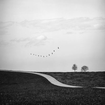 eleven birds / Landscapes  Fotografie von Fotografin Renate Wasinger ★39 | STRKNG