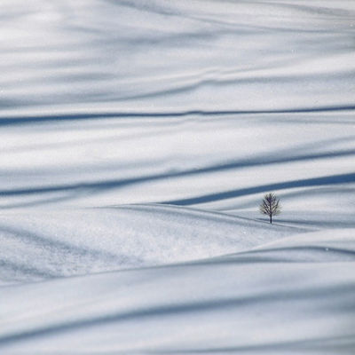 lonely / Landscapes  photography by Photographer Renate Wasinger ★39 | STRKNG
