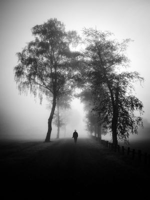 november walk / Black and White  photography by Photographer Renate Wasinger ★39 | STRKNG