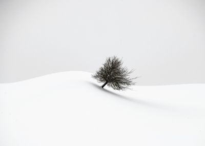 white winter / Landscapes  Fotografie von Fotografin Renate Wasinger ★39 | STRKNG