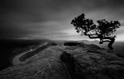 The Old Dead Tree / Schwarz-weiss  Fotografie von Fotograf Askson Vargard | STRKNG