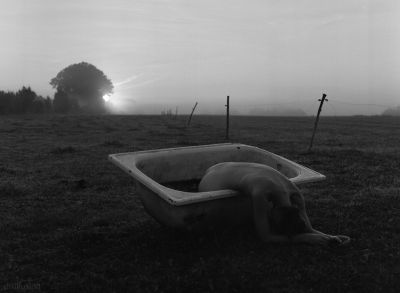 Overflow / Fine Art  photography by Photographer Disillusion ★14 | STRKNG