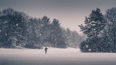 SnowWalk / Natur  Fotografie von Fotograf Moe Molotov | STRKNG