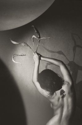 Roots / Conceptual  photography by Photographer Marek Juras ★6 | STRKNG