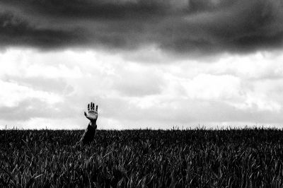 INTO THE FIELDS / Abstract  photography by Photographer Marian Hummel ★11 | STRKNG