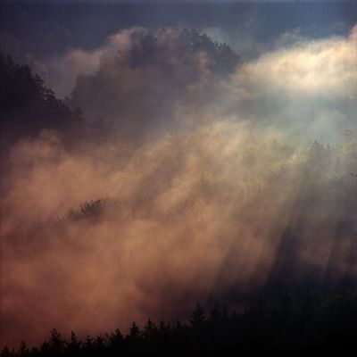 Morgennebel / Landscapes  photography by Photographer Paul Neugebauer ★1 | STRKNG