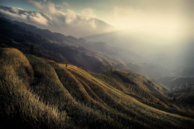 The rice fields / Landscapes  Fotografie von Fotograf Fabrizio Massetti ★5 | STRKNG