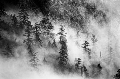 Im | Regen |    | Wald / Landscapes  photography by Photographer kiitos_c ★6 | STRKNG
