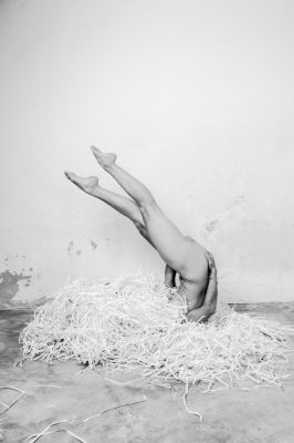 Nest / Nude  photography by Photographer Matheu ★3 | STRKNG