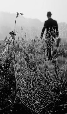 by the wayside / Street  photography by Photographer Simone Sander ★15 | STRKNG