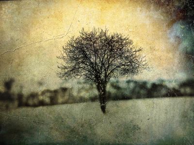 Landscape in the old photo / Creative edit  photography by Photographer Mariusz Janoszek ★3 | STRKNG