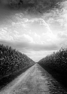 Pre Popcorn Road / Landscapes  Fotografie von Fotograf Thomas Maenz ★4 | STRKNG