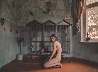 Bird Cage / Nude  Fotografie von Fotograf Rufus ★5 | STRKNG