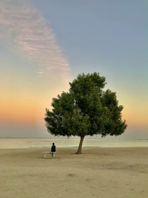 lonely / Landscapes  Fotografie von Fotografin mojgan sheykhi | STRKNG